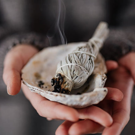 Collection image for: Protection & Grounding