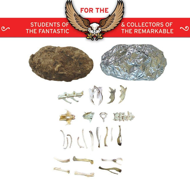 Collection of Owl Pellets | Dissection Kit