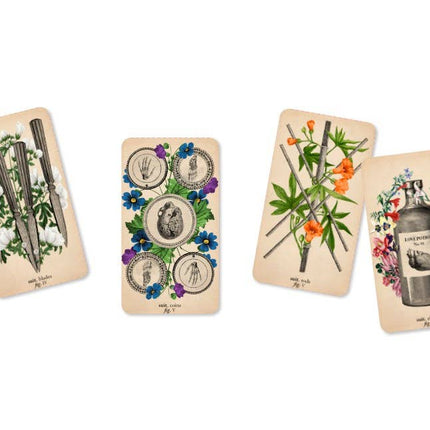 Antique Anatomy Tarot