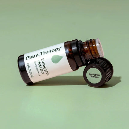 Eucalyptus Globulus Essential Oil 10 mL