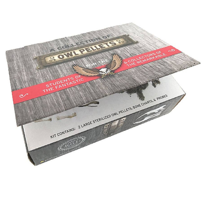Collection of Owl Pellets | Dissection Kit