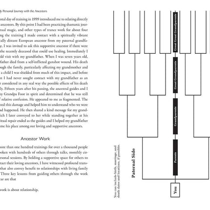 Ancestral Medicine by Daniel Foor