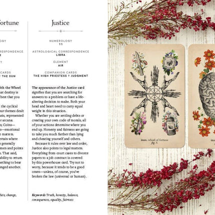 Antique Anatomy Tarot