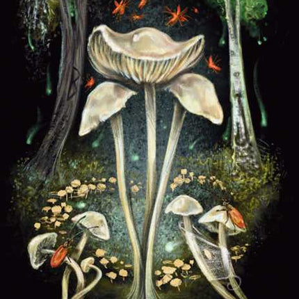 Midnight Magic by Sara Richard