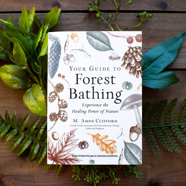 Your Guide to Forest Bathing: Expanded Edition