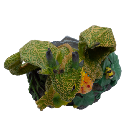 Cantaloupe Dragon
