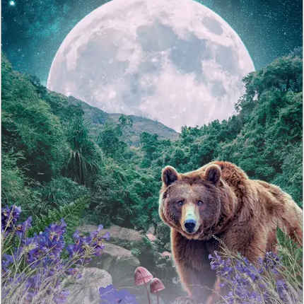 Lunar Magic Oracle