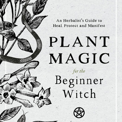 Plant Magic For Beginner Witches: Guide To Heal & Protect