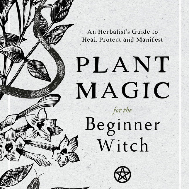 Plant Magic For Beginner Witches: Guide To Heal & Protect