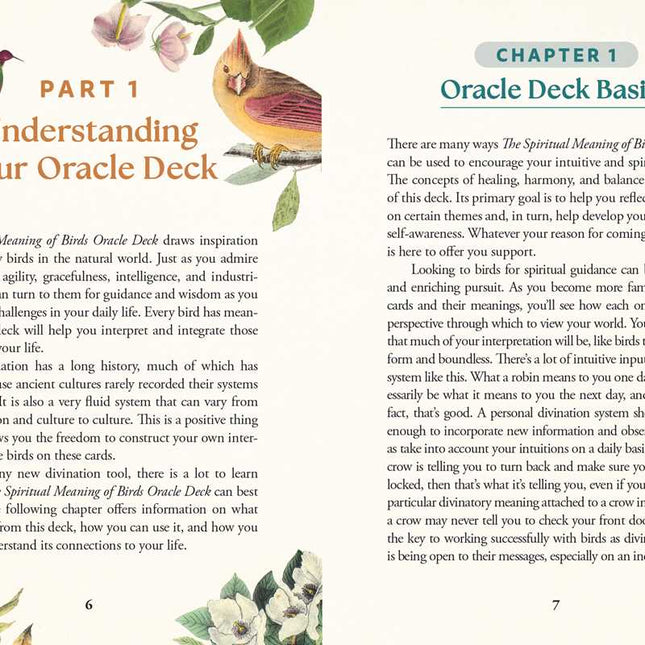 Spiritual Meaning of Birds Oracle