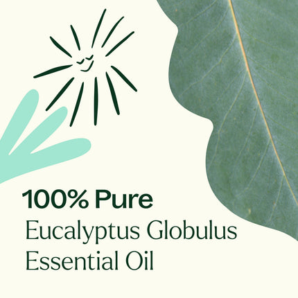 Eucalyptus Globulus Essential Oil 10 mL