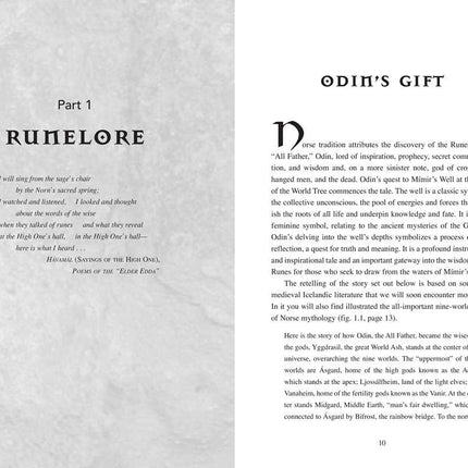 Nordic Runes by Paul Rhys Mountfort