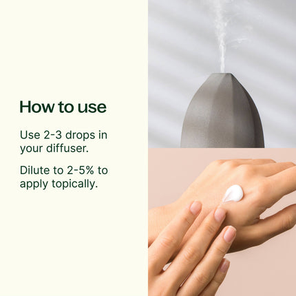 Eucalyptus Globulus Essential Oil 10 mL
