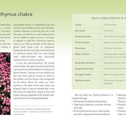 Chakra Bible