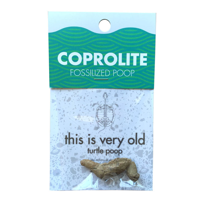 Coprolite - Fossilized Poop