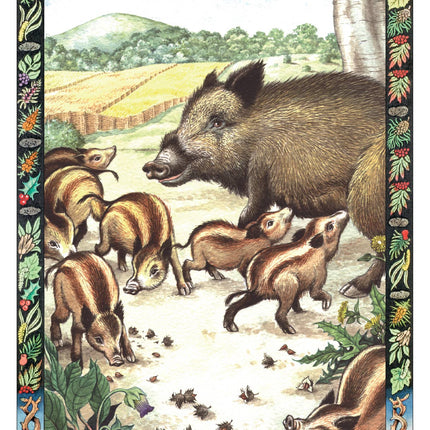 The Druid Animal Oracle Deck (36 Cards and 48 Page Booklet)
