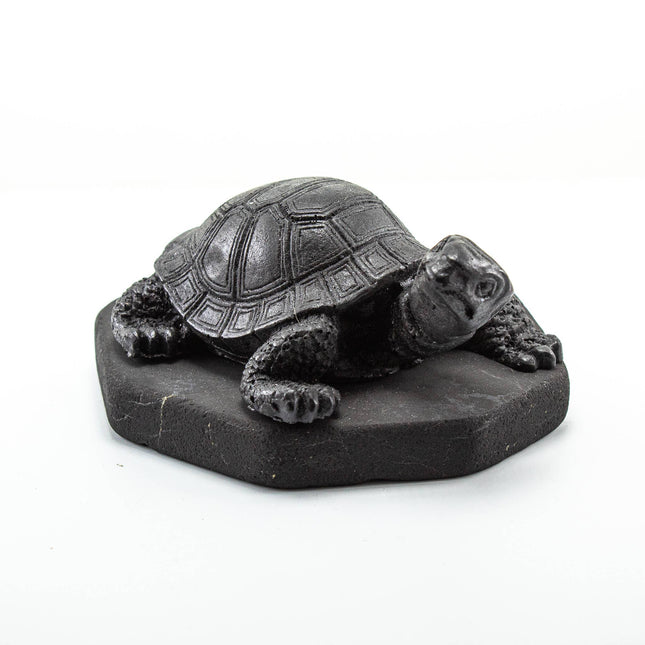 Shungite Figurine Turtle Small