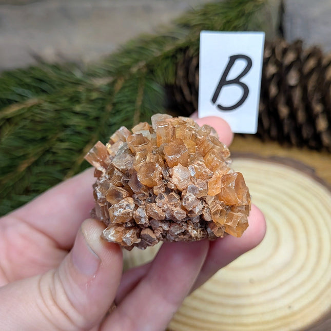 Aragonite Cluster - Variant B