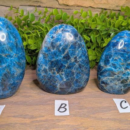 Apatite Freeforms