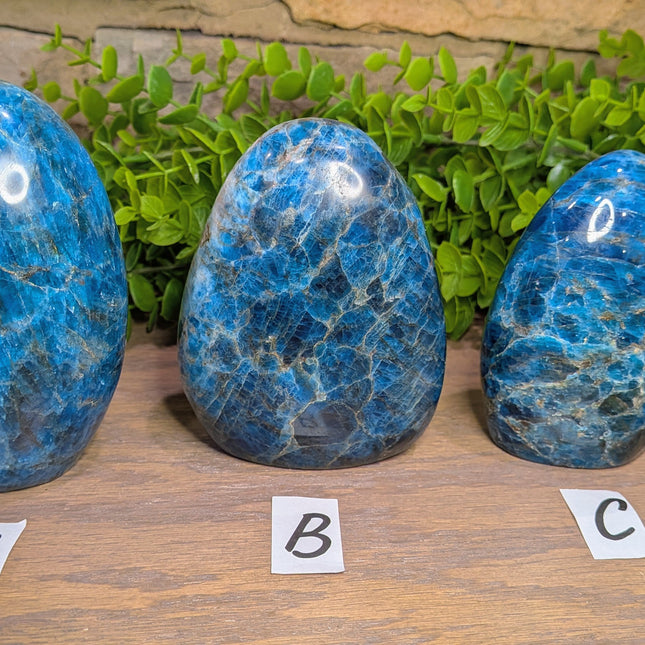 Apatite Freeforms