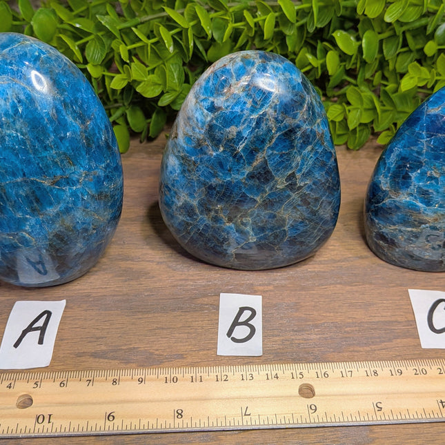 Apatite Freeforms