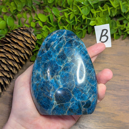 Apatite Freeforms - Variant B