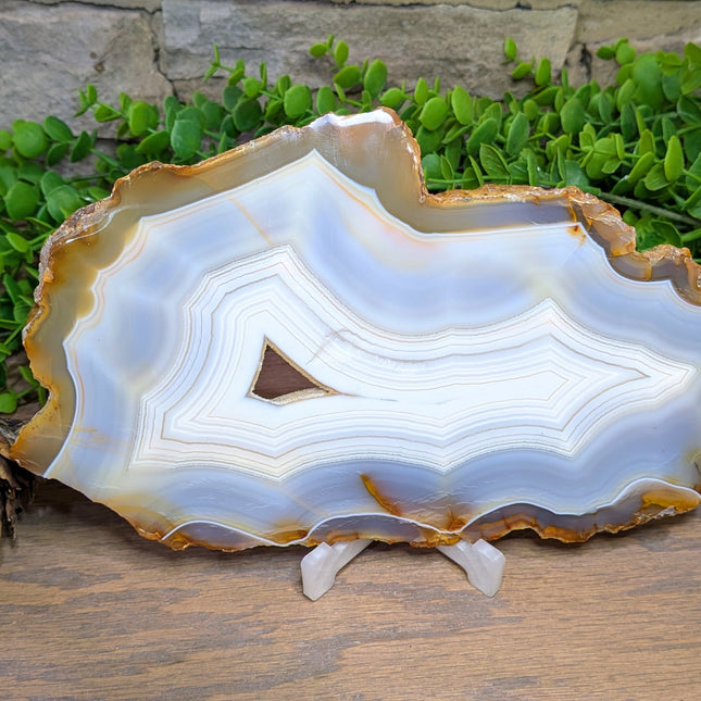 Blue Lace Agate Slab