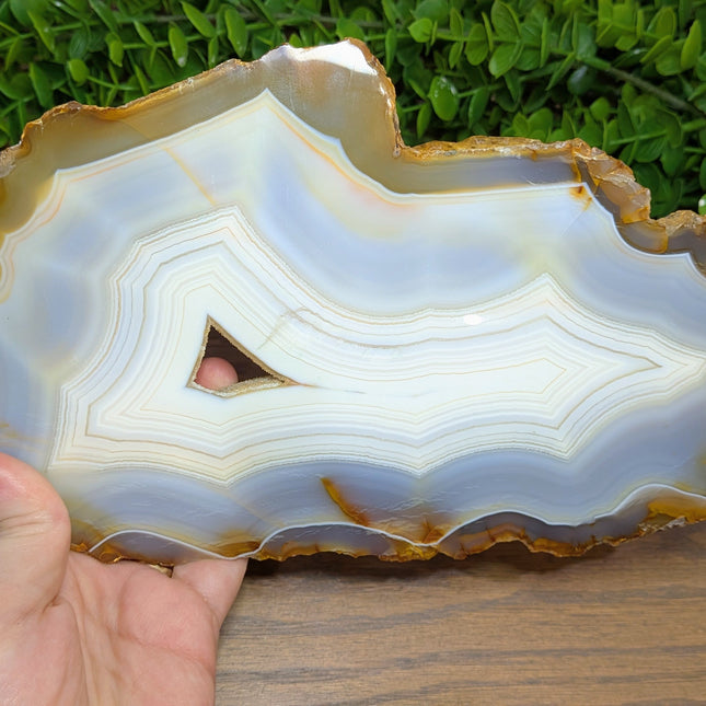 Blue Lace Agate Slab