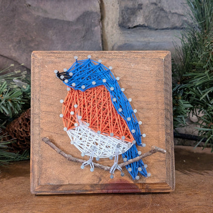 Blue Bird String Art