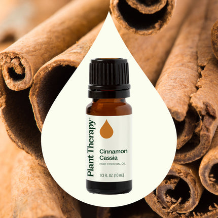 Cinnamon Cassia Essential Oil