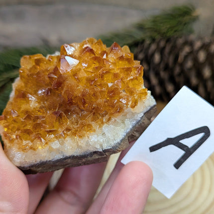 Citrine Flat Clusters
