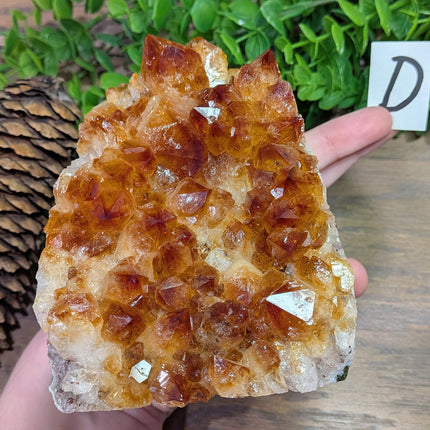 Citrine Geode Large Crystal