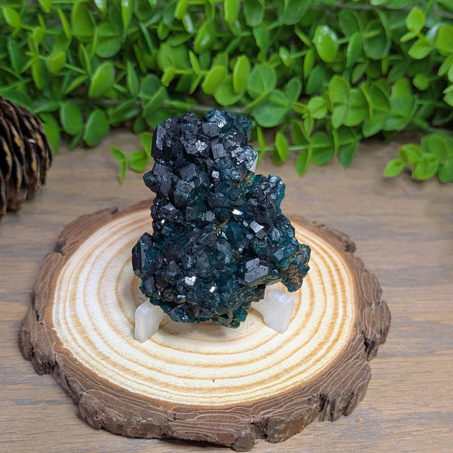 Dioptase Specimen