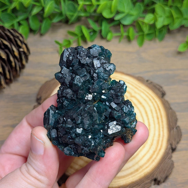 Dioptase Specimen