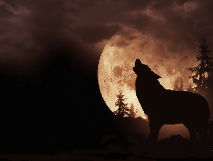 <h1><span style="text-decoration:underline">Wolf Moon in Cancer</span></h1>