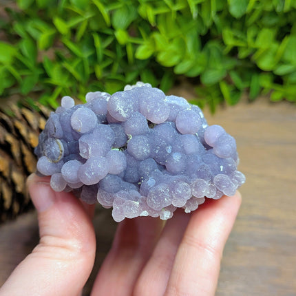 Grape Agate 2