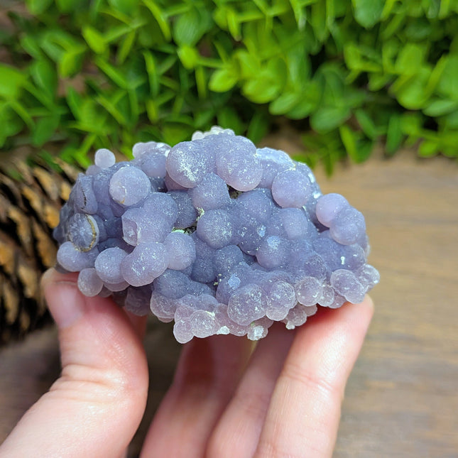 Grape Agate 2