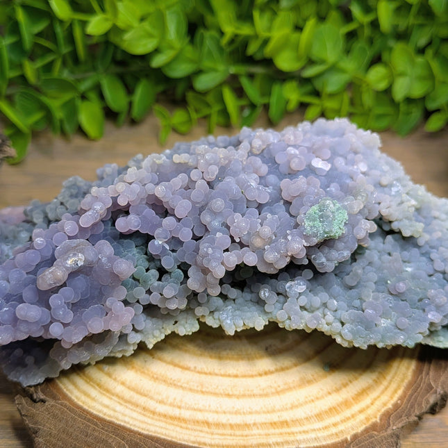 Grape Agate 4