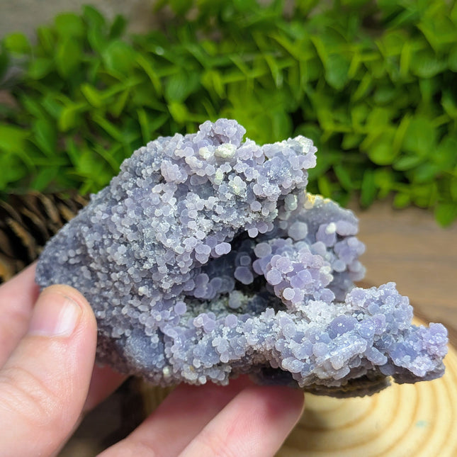 Grape Agate 5