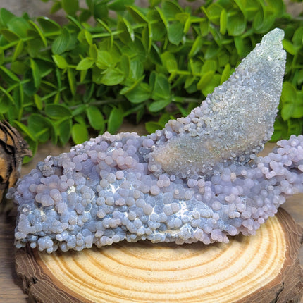 Grape Agate 1 Shark Fin