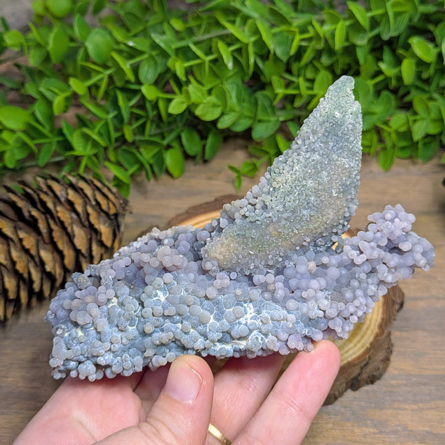Grape Agate 1 Shark Fin