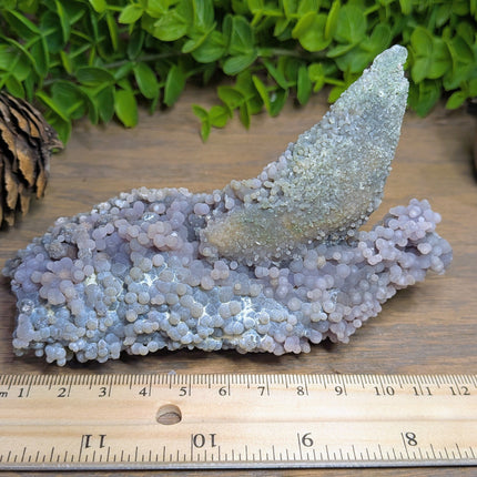Grape Agate 1 Shark Fin