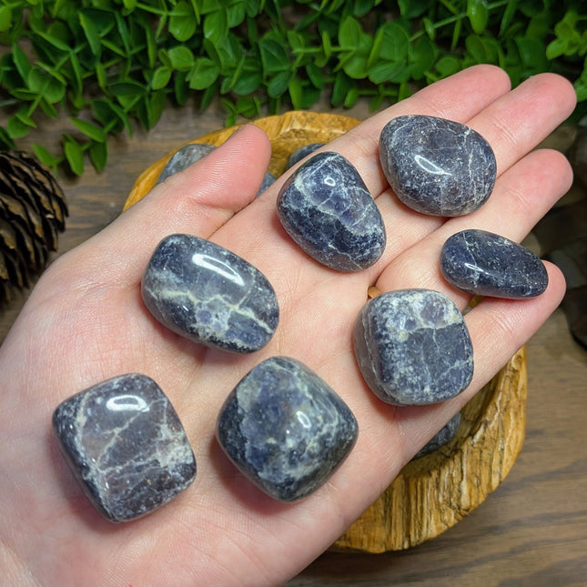 Iolite Tumbled Stones