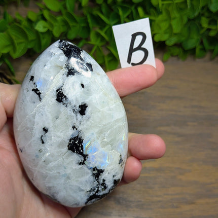 Rainbow Moonstone Carved Freeforms - Variant B