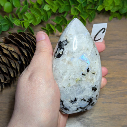 Rainbow Moonstone Carved Freeforms - Variant C