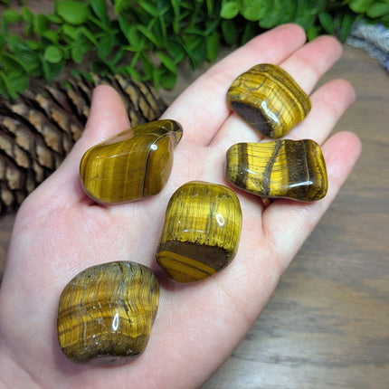 Tiger Eye Tumbled Stones