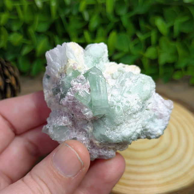 Tourmaline Specimen