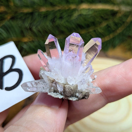 Vera Cruz Amethyst Crystals