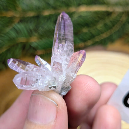 Vera Cruz Amethyst Crystals