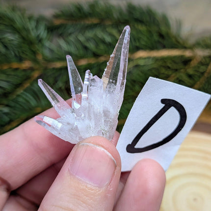 Vera Cruz Amethyst Crystals